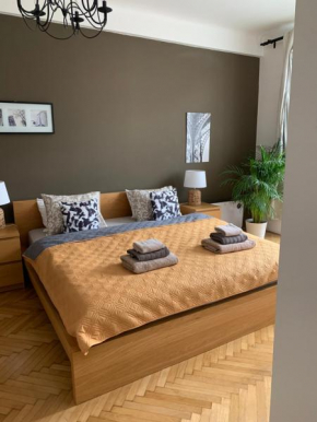 Apartment by Charles Bridge 2